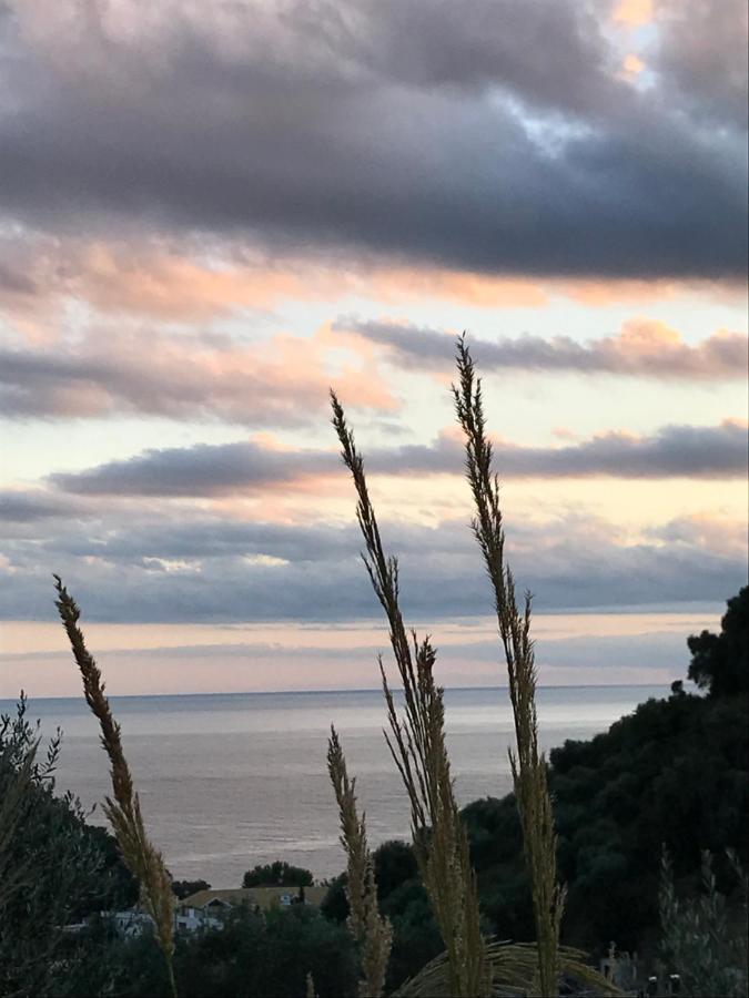 Asaya Hills Villas Parga Esterno foto